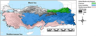 Patterns of Endemism in Turkey, the Meeting Point of Three Global Biodiversity Hotspots, Based on Three Diverse Families of Vascular Plants